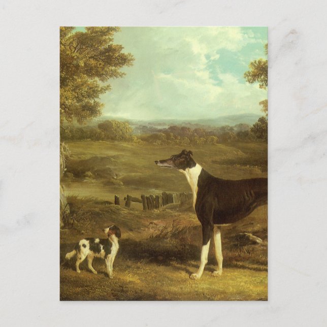 Carte Postale Chiens, Greyhound et Espagnol, Docteur Fop par Her (Devant)