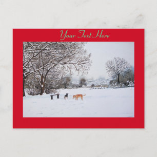 Carte Postale chiens jouer hiver neige paysage paysage paysage