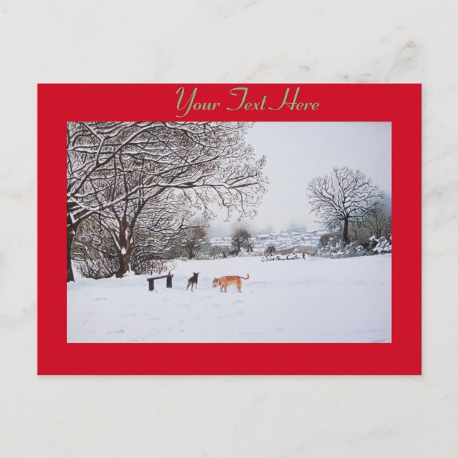Carte Postale chiens jouer hiver neige paysage paysage paysage (Devant)