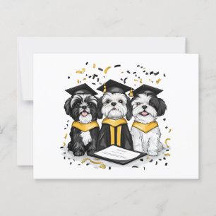 Carte Postale Chiens Shih Tzu de remise de diplôme