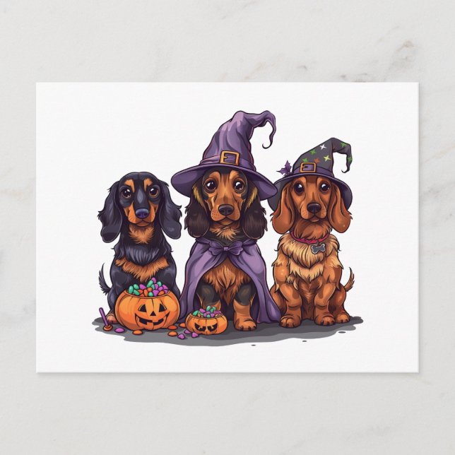 Carte Postale Chiens sorciers Halloween Dachshund (Devant)