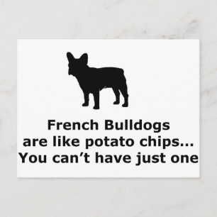 Carte Postale Chiens taureaux français sont comme des chips de p