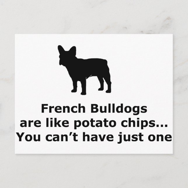 Carte Postale Chiens taureaux français sont comme des chips de p (Devant)