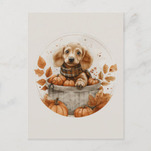 Carte Postale Chiens teckel d'automne Citrouille