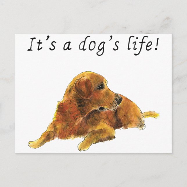 Carte Postale Chiens Vie Cute Golden Retriever Aquarelle Art (Devant)