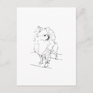 Carte Postale Chihuahua à poils longs - Illustration de chien mi
