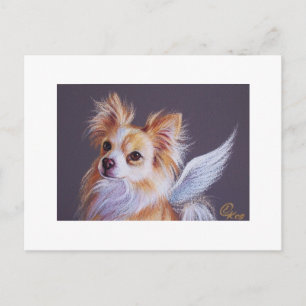 Carte Postale Chihuahua Angel