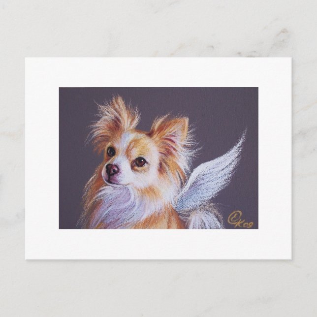 Carte Postale Chihuahua Angel (Devant)