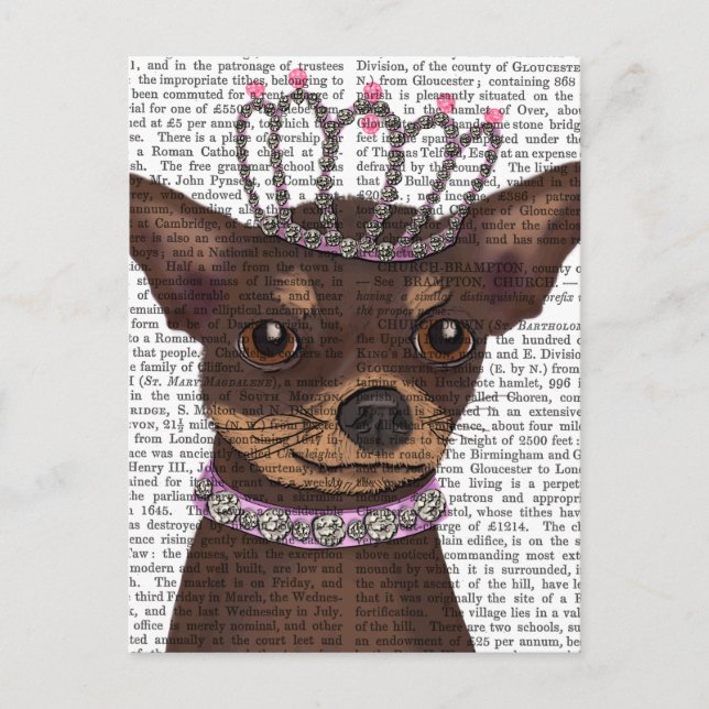 Carte Postale Chihuahua Brown Et Tiara (Devant)