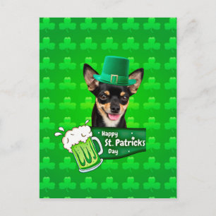 Carte Postale Chihuahua Chien Chiot Chiot St. Patrick's Day Clov