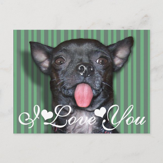 Carte Postale Chihuahua Chien Tongue Je Vous Aime (Devant)