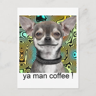 Carte Postale Chihuahua dog smiling