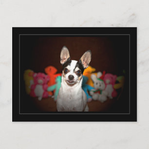 Carte Postale Chihuahua et jouets
