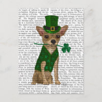 Chihuahua Leprechaun