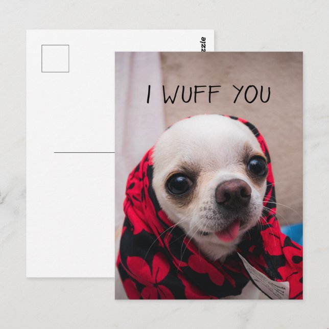 Carte Postale Chihuahua mignon Je vous jure que vous aimez Valen (Devant / Derrière)