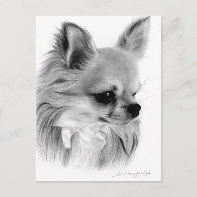 Carte Postale Chihuahua Peint À La Main Avec Oeuvre En Bow (Devant)