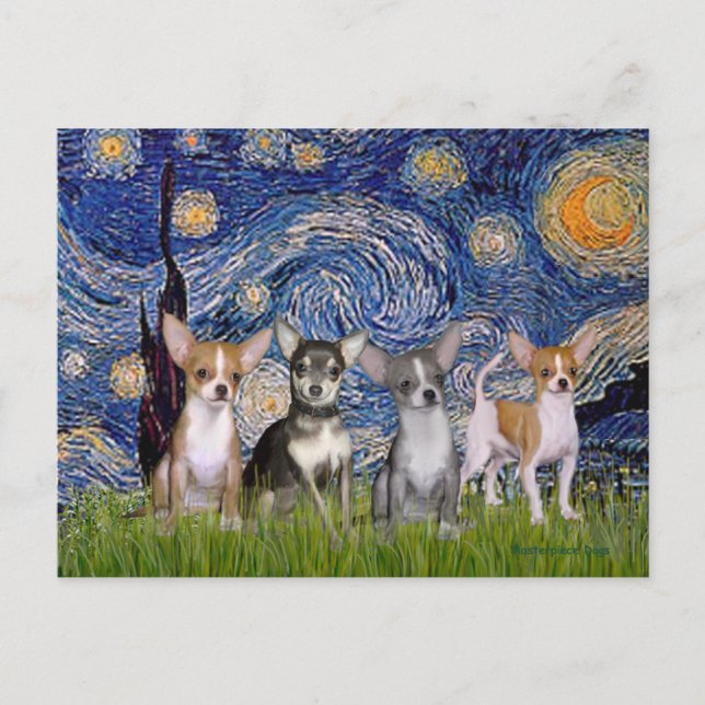 Carte Postale Chihuahuas (quatre) - Nuit étoilée (Devant)
