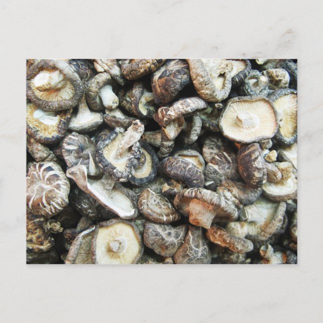 Carte Postale Chiitake Musrooms (Devant)