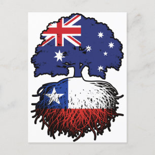 Carte Postale Chili Chilien Australien Australie Arbres Racines