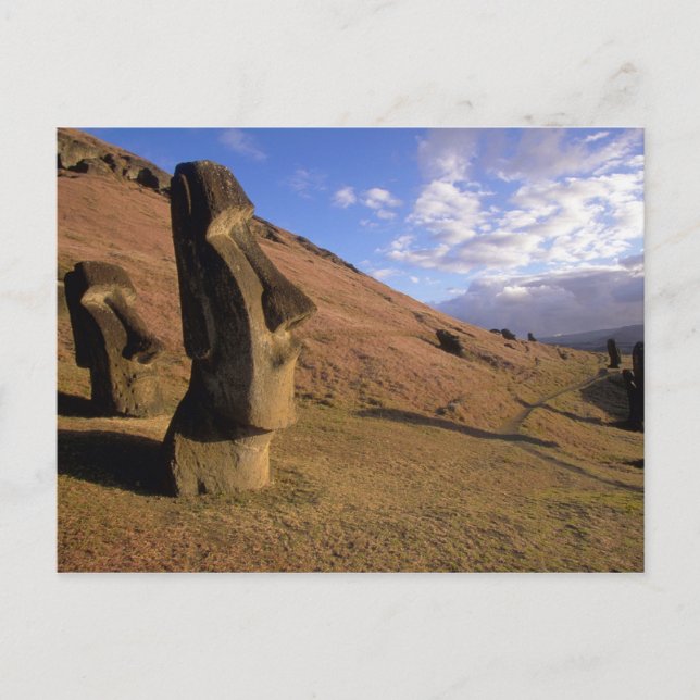 Carte Postale Chili, île de Pâques. Coteau avec Moai (Devant)