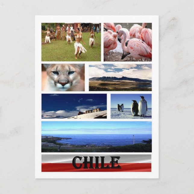 Carte Postale Chili - Mosaic - (Devant)