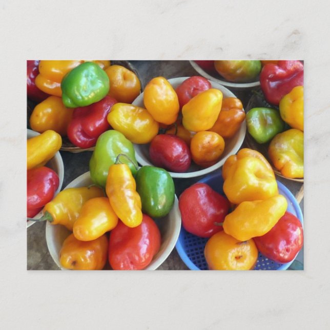 CARTE POSTALE CHILIES (Devant)