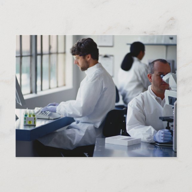 Carte Postale Chimistes travaillant en laboratoire (Devant)