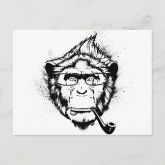 Carte Postale Chimp caractéristique