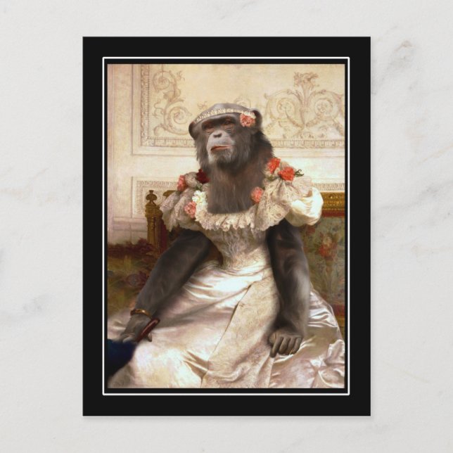 Carte Postale Chimp dans Gown (Devant)