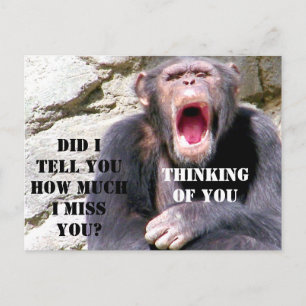 Carte Postale Chimpanzé_