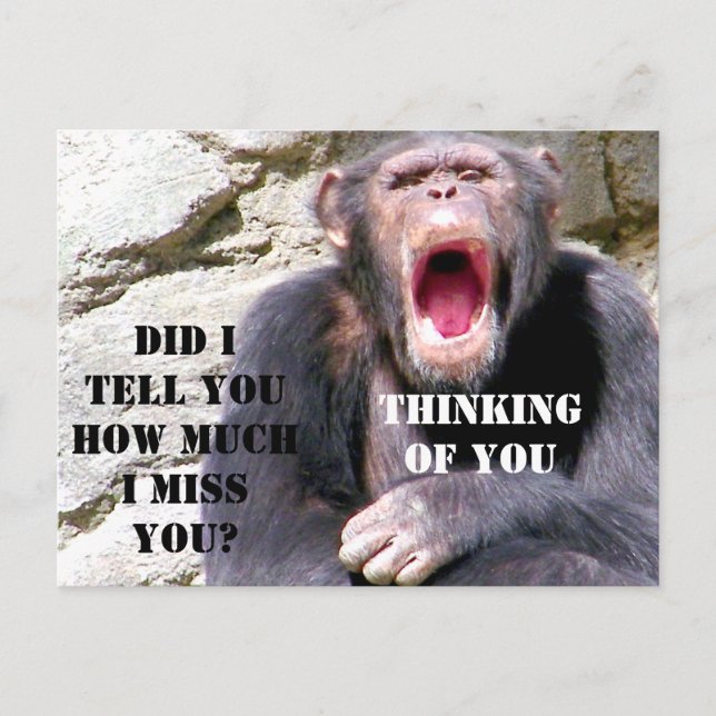 Carte Postale Chimpanzé_ (Devant)