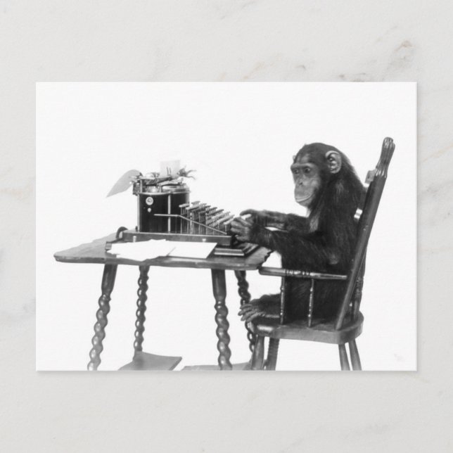 Carte Postale Chimpanzé tapant (Devant)