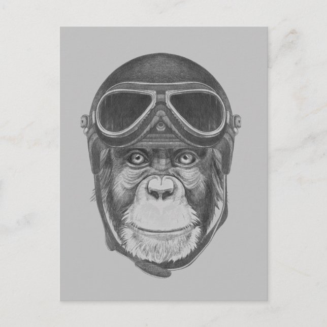 Carte Postale Chimpanzé vintage (Devant)