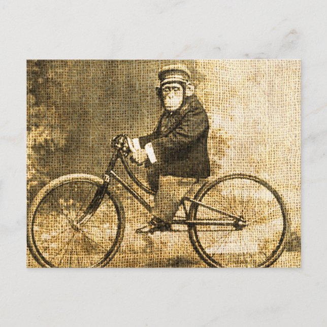 Carte Postale Chimpanzé vintage à vélo (Devant)