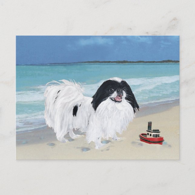 Carte Postale Chin japonais à la plage (Devant)