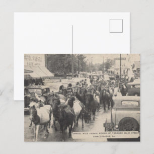 Carte postale Chincoteague Pony Vintage 1941