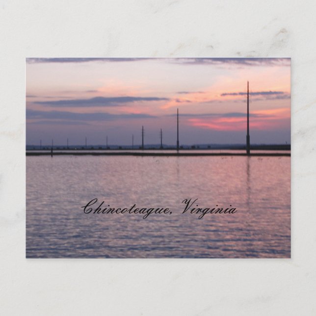 Carte Postale Chincoteague, Virginie (Devant)