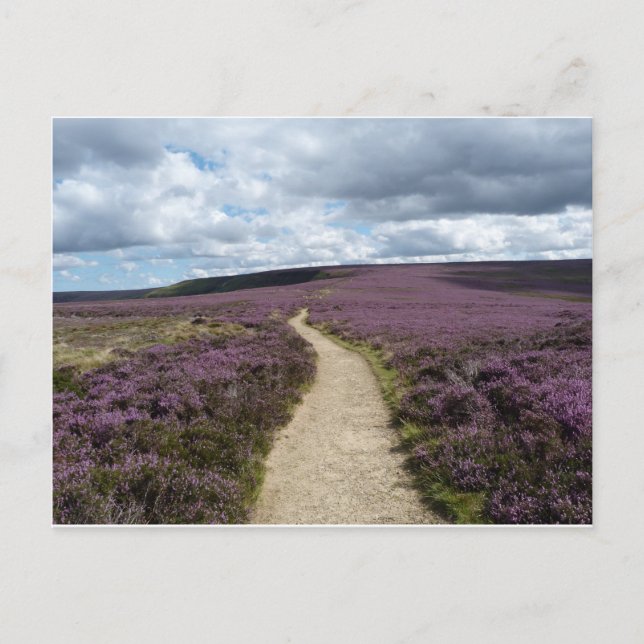 Carte Postale Chiné (Devant)