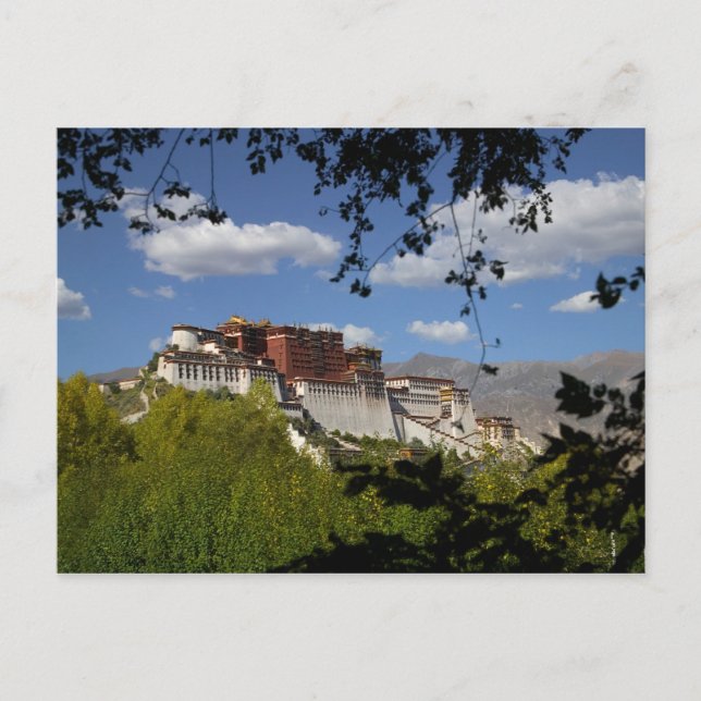 Carte Postale Chine, Tibet, Lhassa, Potala Palace (Devant)