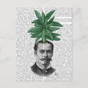 Carte Postale Chinese Evergreen Head Plant Head