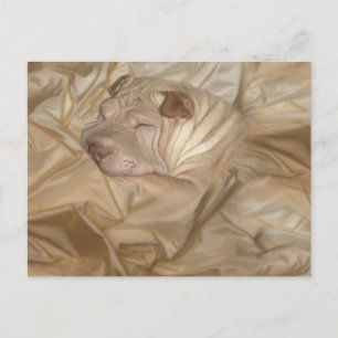 Carte Postale Chinois Shar Pei Camouflé en étincelles