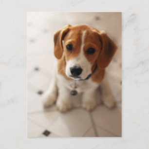 Carte Postale Chiot 2 de beagle