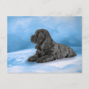 Carte Postale Chiot anglais Cocker Spaniel