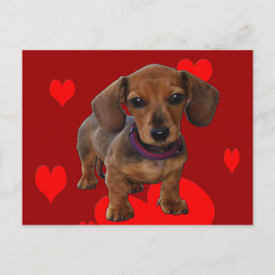 Carte Postale Chiot avec coeur