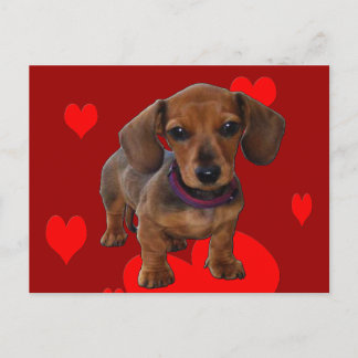 Carte Postale Chiot avec coeur