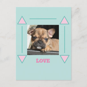 Carte Postale Chiot Bouledogue Français French Bulldog