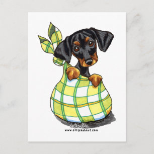 Carte Postale Chiot de sac Doberman Pinscher
