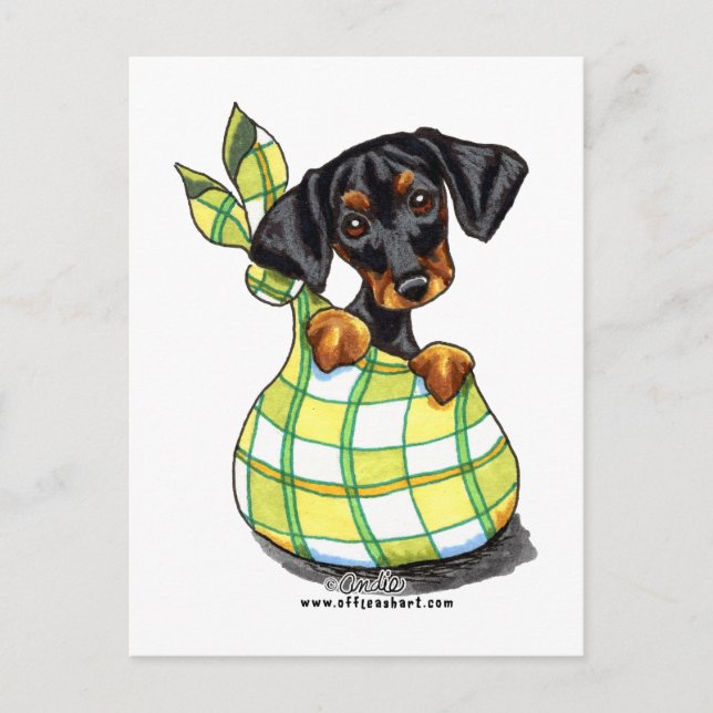 Carte Postale Chiot de sac Doberman Pinscher (Devant)
