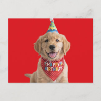Carte Postale chiot golden retriever souhaitant un joyeux annive