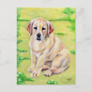 Carte Postale Chiot jaune du Labrador